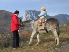 Nous elevons des anes pour accompagner vos randonnees en montagne, autour d'Appy et dans les montagnes de la Haute Ariege Pyrenees 