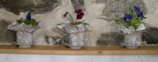 Gite rural a louer pour vos vacances et weekend en montagne en Ariege, au coeur des valles d'Ax les Thermes